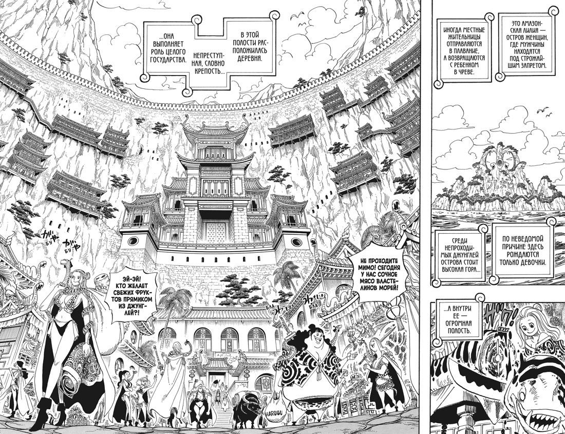 Манга One Piece. Большой куш. Книга 18. Конфликт неизбежен фото 6