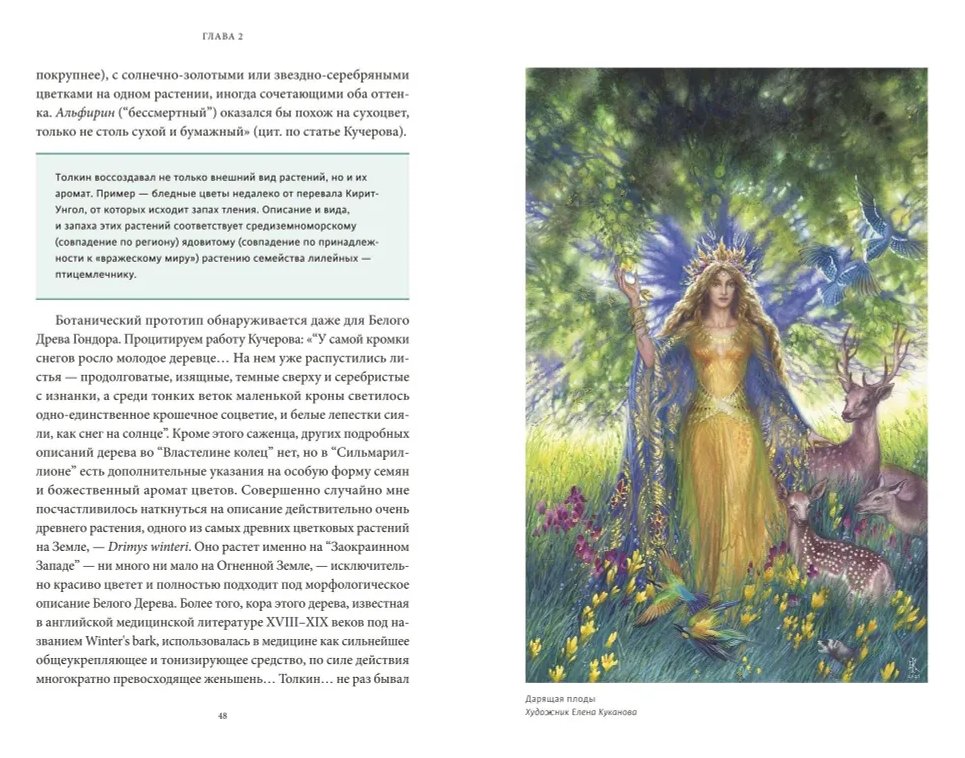 Книга Мифология Толкина. От эльфов и хоббитов до Нуменора и Ока Саурона фото 4