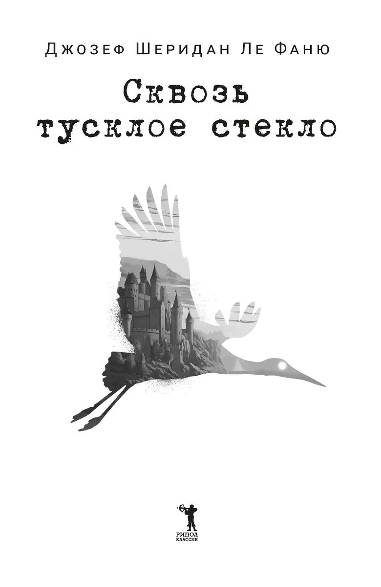 Книга Сквозь тусклое стекло фото 6