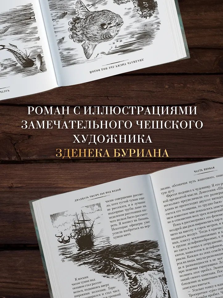 Книга Двадцать тысяч лье под водой фото 14