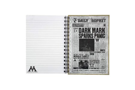 Стафф, сувениры Записная книжка Harry Potter (Sirius & Harry) 3D Cover A5 Wiro SR72657 фото 3